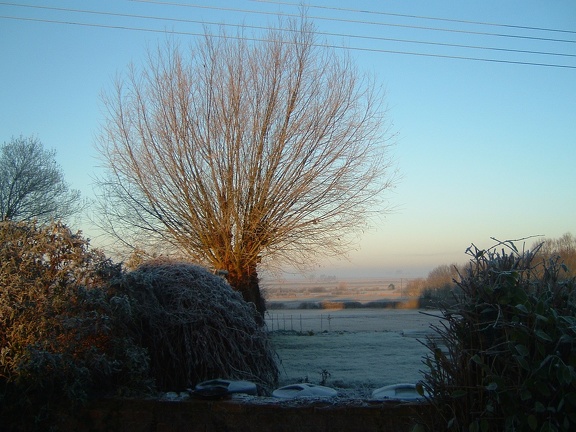 04 Winter frost in the Hare Hill garden