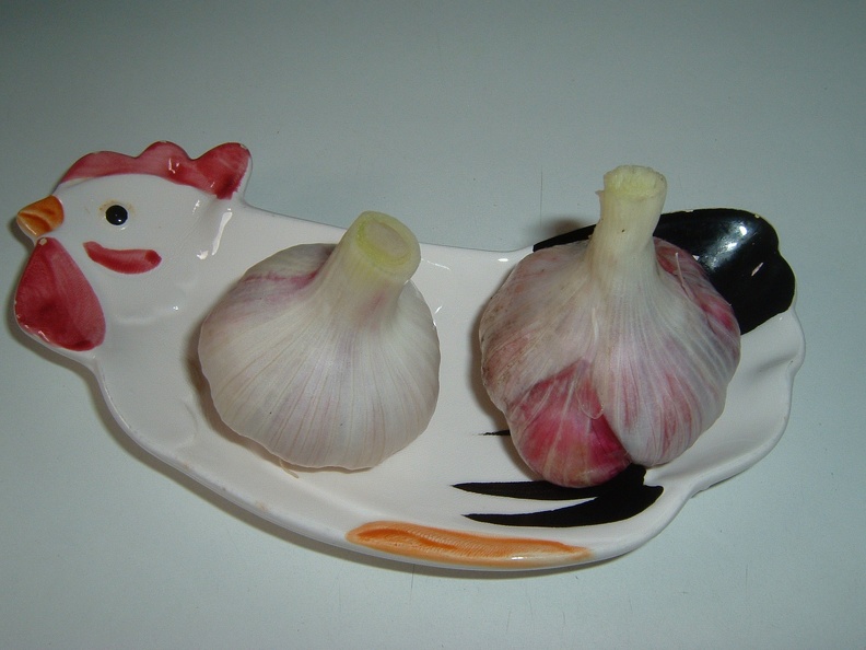 The_first_Hare_Hill_garlic_.JPG