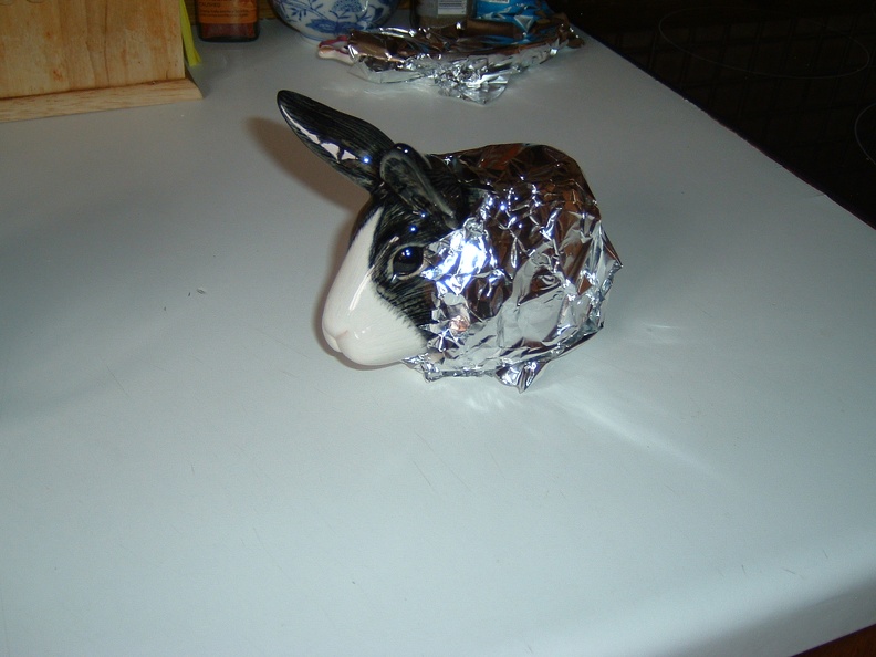 Boiled_egg_bunny_wears_a_beauty_bonnet.JPG