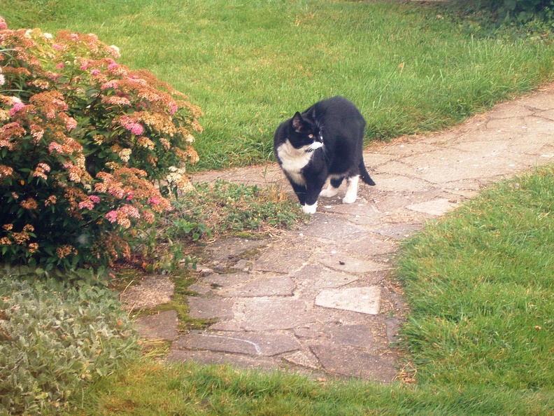 Surveying her estate