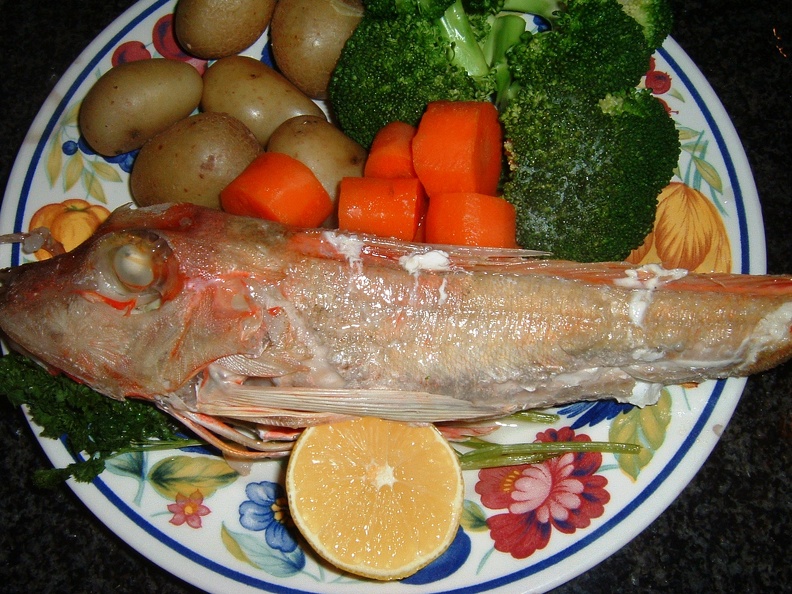 Gurnard ready to eat