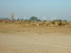 The local wind farm