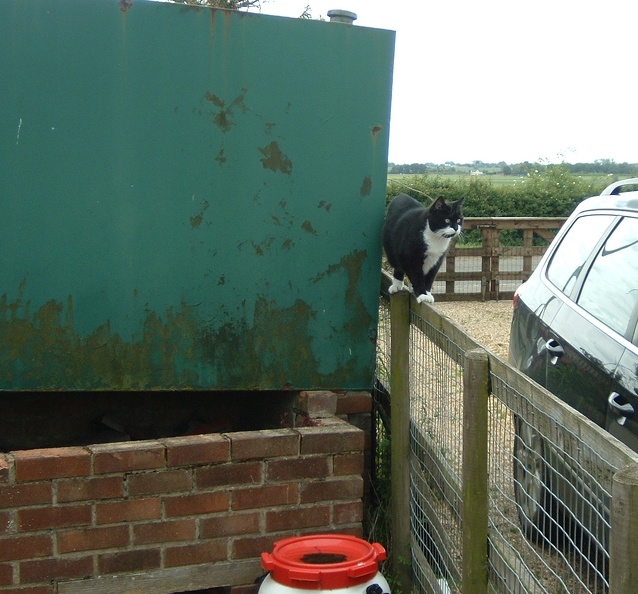 Balancing act by the oil tank