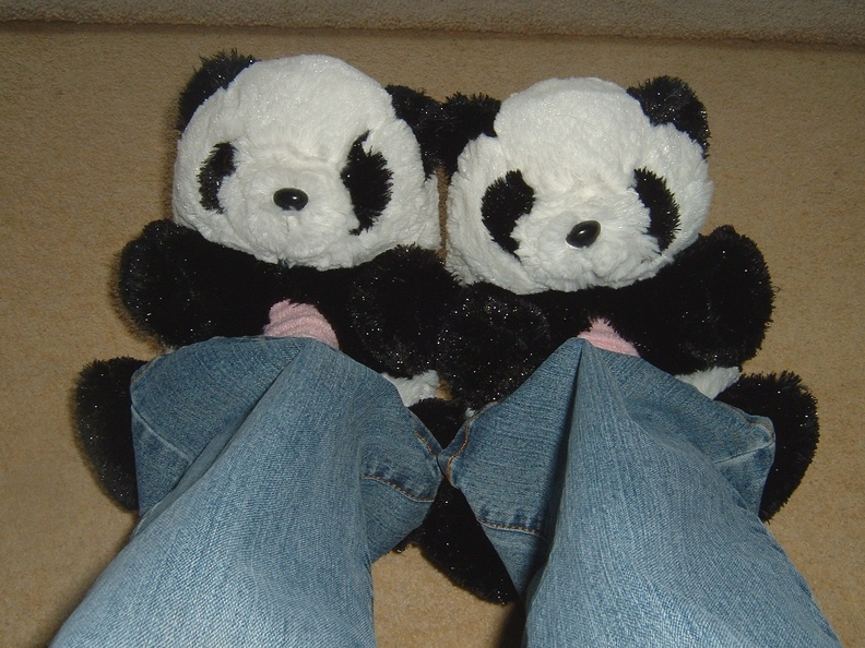 The pandas