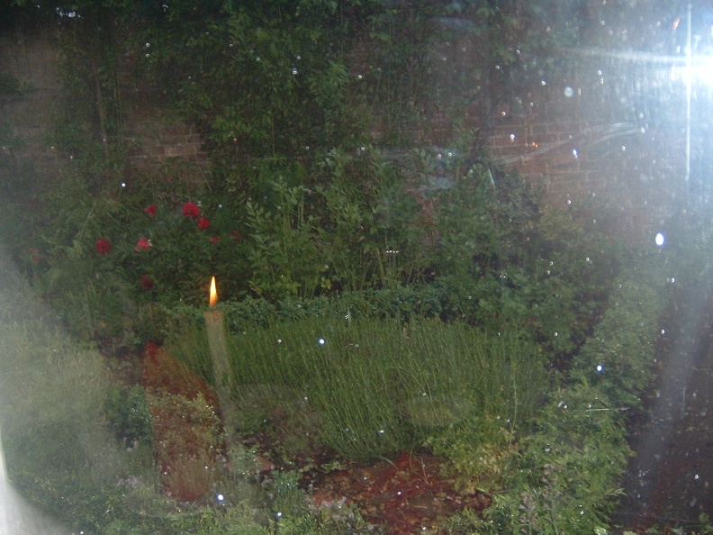 The_view_from_our_table.JPG