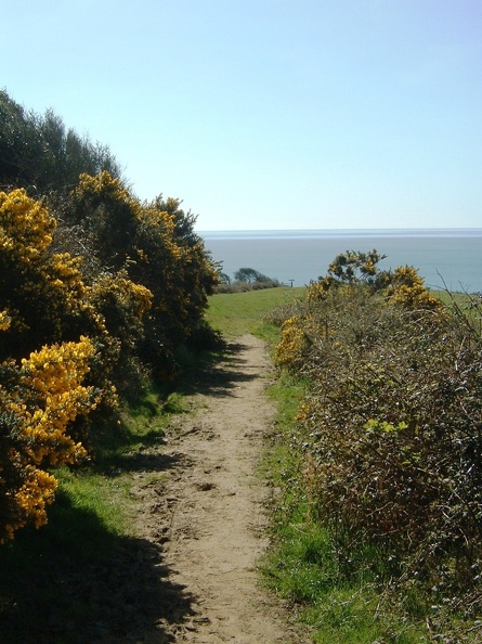 A Stonebarrow footpath