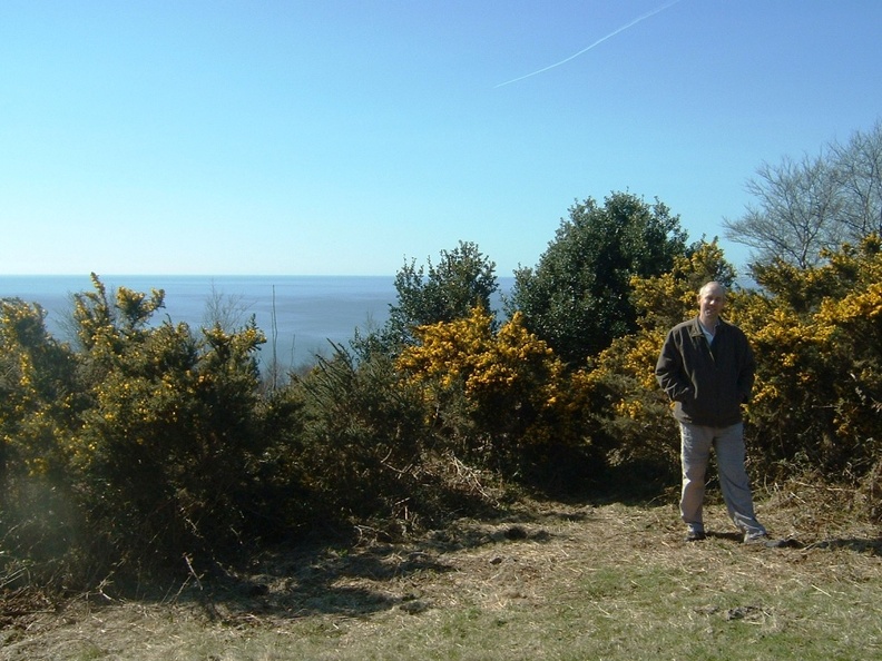 Chickpea_on_Stonebarrow__hill.JPG