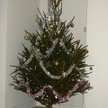Our Christmas tree 001