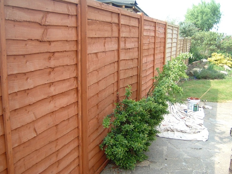 Painting the fence