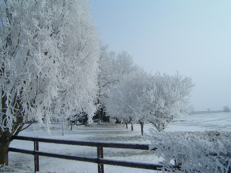 Hare Hill cold snap 2012