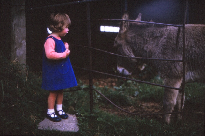 39 Wendy meets a donkey