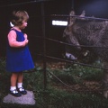 39 Wendy meets a donkey.jpg