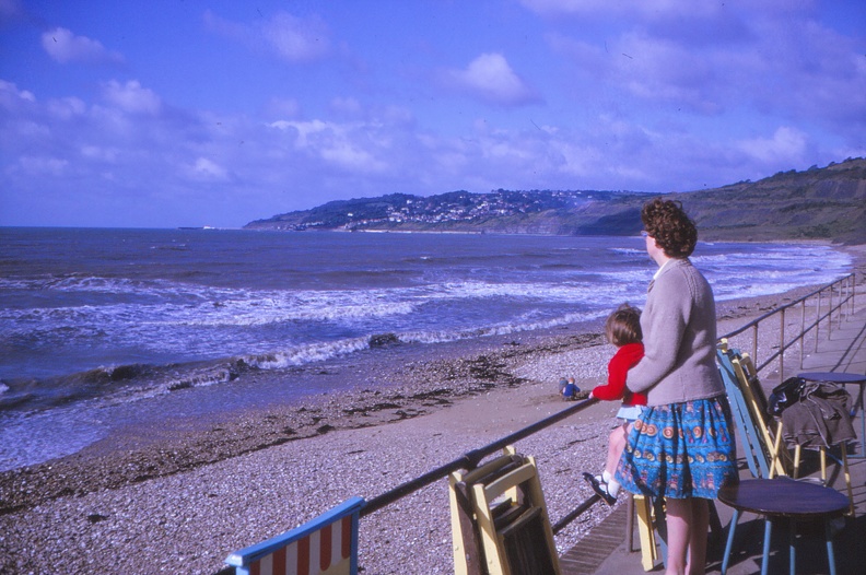 27 Lyme Regis from Charmouth.jpg