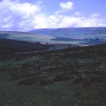 39 Bonehill Down on Dartmoor