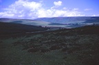 39 Bonehill Down on Dartmoor