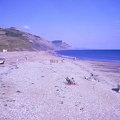 44 Golden Cap from Charmouth