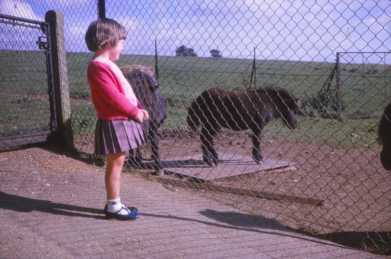 03 Wendy with Shetland pony foal (3 years 5 months).jpg