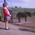 03 Wendy with Shetland pony foal (3 years 5 months).jpg