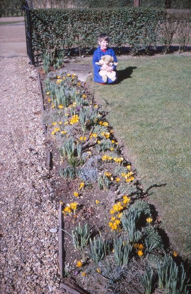 21 W with crocuses in front garden (4 yrs 11 months).jpg