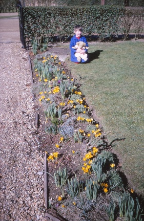 21 W with crocuses in front garden (4 yrs 11 months)