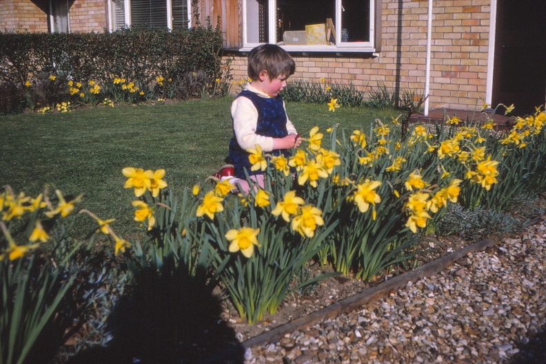 29 W with daffodils.jpg