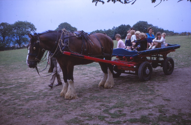 03 Mum, W & D on a horse drawn cart.jpg