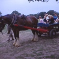 03 Mum, W & D on a horse drawn cart