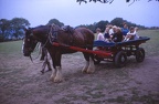 03 Mum, W & D on a horse drawn cart