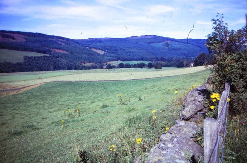 21 Forest of Cluny on Blairgowrie-Pitlochry road.jpg