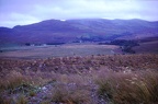 36 Glen Brein from the A862 nr. Fort Augustus