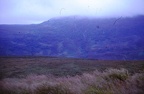 37 Waterfall near Glen Doe