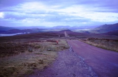 46 D looking N.E. along the A862 (Lock Lochy on left, Loch Mohr ahead)
