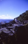 28 Cecil Seagull at Loch Nan Uamh