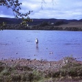 35 D paddling in Loch Ruthven