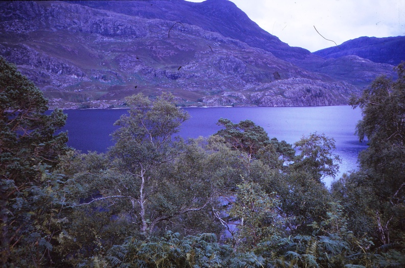 01 Loch Maree.jpg