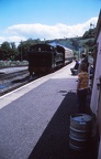 35 D at Buckfastleigh Station on Dart Valley Railway