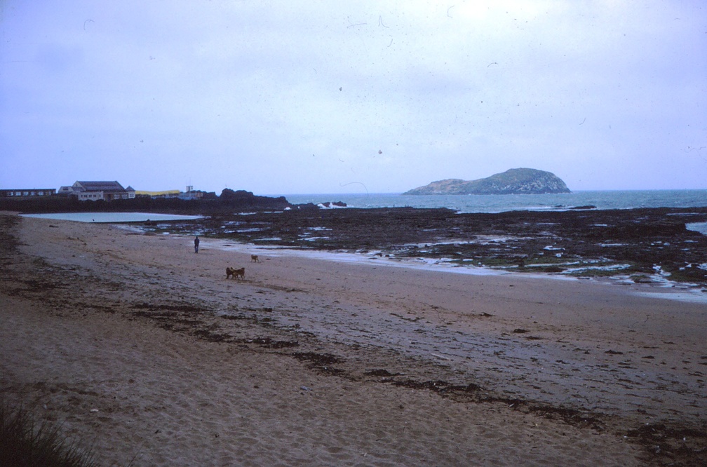 50 The beach again & Craigleith Island