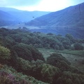 41 Loch Trool.jpg