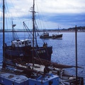 29 Fishing boats at Appledore