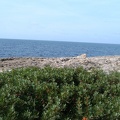 06 Sea by lighthouse