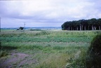 72 Back garden at Kinaldie, Arbroath