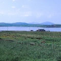 74 View from bedroom at Eshcol flat, Breasclete.jpg