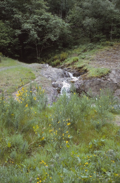 43 Waterfall at Loch L..jpg