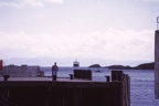 62 Hebridean Isles ferry approaching Tarbet