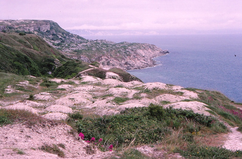 37 View of Dorset cliffs from Portland Bill.jpg