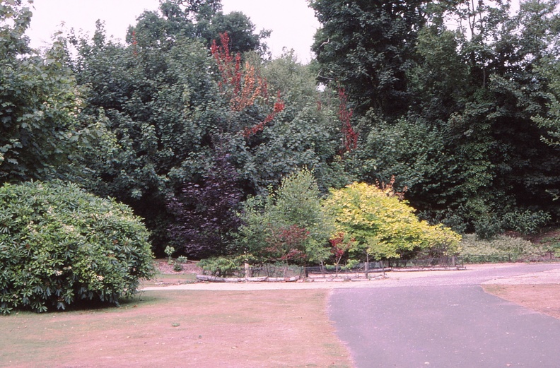 47 Normanhurst CC site.jpg