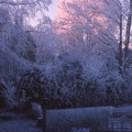 59 Frost morning at no. 35 no. 1.jpg