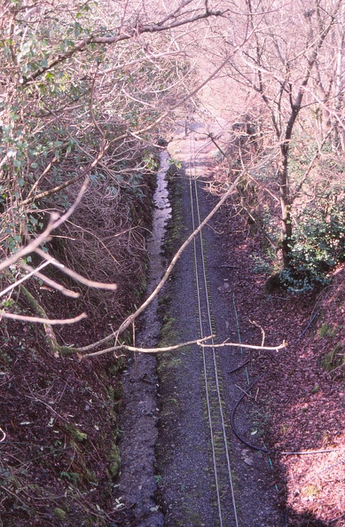 70 Miniature rails on narrow-g. railway at Narracott.jpg