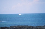 33 Sea dashing on rocks at Houghharry