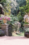43 Sub-tripical gardens at Abbotsbury, Dorset no. 1
